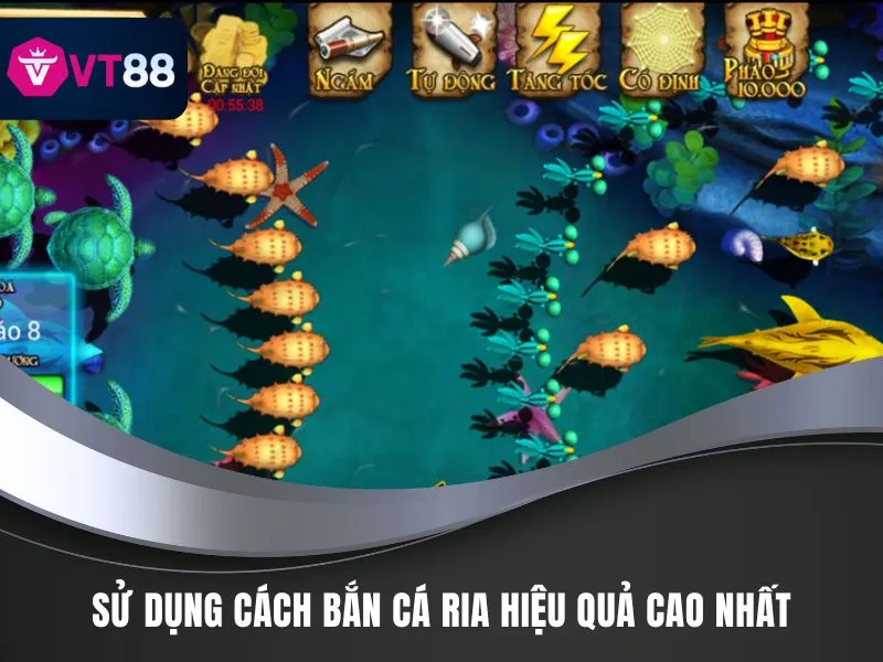 Sử dụng cách bắn cá ria hiệu quả cao nhất