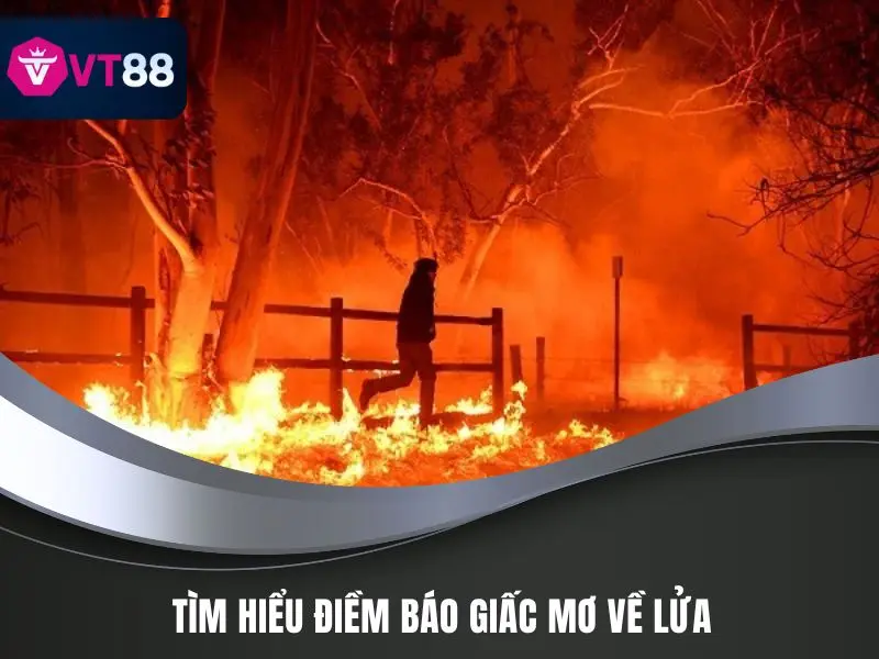 Giấc Mơ Về Lửa VT88 - Cảnh Báo Không Thể Bỏ Qua 2 Tìm hiểu điềm báo giấc mơ về lửa