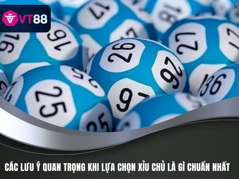 Các lưu ý quan trọng khi lựa chọn Xỉu Chủ là gì chuẩn nhất
